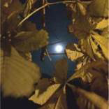 org:/landingpages/winnaars DK NO SE/9e-prize-scandinavie.jpg